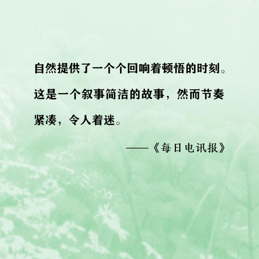 送小獾回家 11岁-14岁 安东尼·麦高恩 著 儿童文学 商品图2