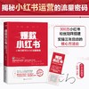 爆款小红书:从零到百万粉丝的玩赚策略 商品缩略图1