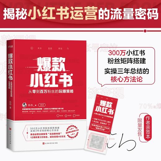 爆款小红书:从零到百万粉丝的玩赚策略 商品图1