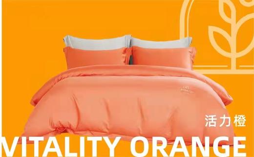 博洋臻.我长绒棉四件套 商品图1