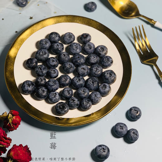 脆甜花香蓝莓 商品图6