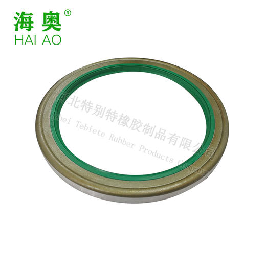 海奥金王子前轮油封135*170*12（13517012）135x170x12 商品图0