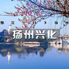 4.11号【扬州兴化 立减30元】兴化油菜花、李中水上森林、瘦西湖、何园~江南何处寻春迹？还需下扬州 商品缩略图2