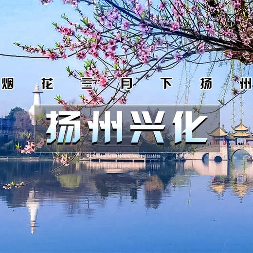 4.11号【扬州兴化 立减30元】兴化油菜花、李中水上森林、瘦西湖、何园~江南何处寻春迹？还需下扬州 商品图2
