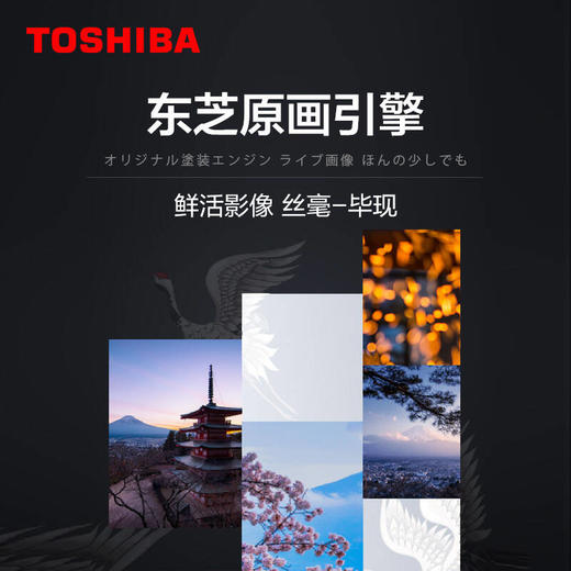 东芝（TOSHIBA）65C340F 65英寸 4K超高清 HDR 原画引擎 液晶电视 原音声场 AI远近场双声控 3GB+32GB 全面屏 商品图2