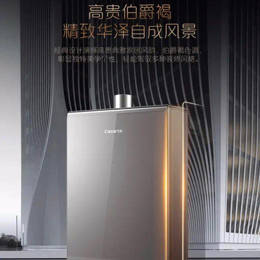 卡萨帝（Casarte）热水器JSQ31-16CZ1BPU1 商品图10