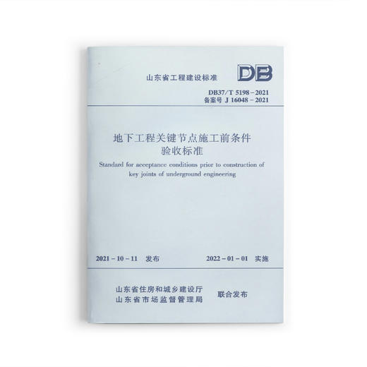 地下工程关键节点施工前条件验收标准DB37/T 5198-2021 商品图0