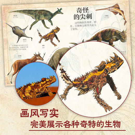 大自然手绘图鉴 史前生物 商品图3