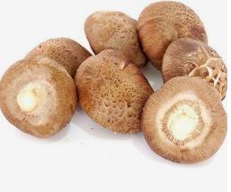 新鲜香菇 商品图0