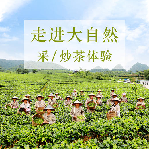 【6人成团，不成团免费退】积庆里红茶谷 采茶+炒茶体验服务 商品图0