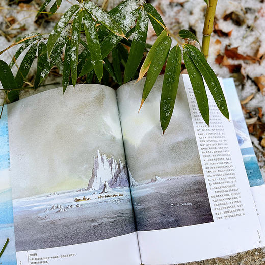 后浪正版 我在北极画速写：冰雪世界的探险之旅 水彩插画极地风光光影艺术书籍 商品图3