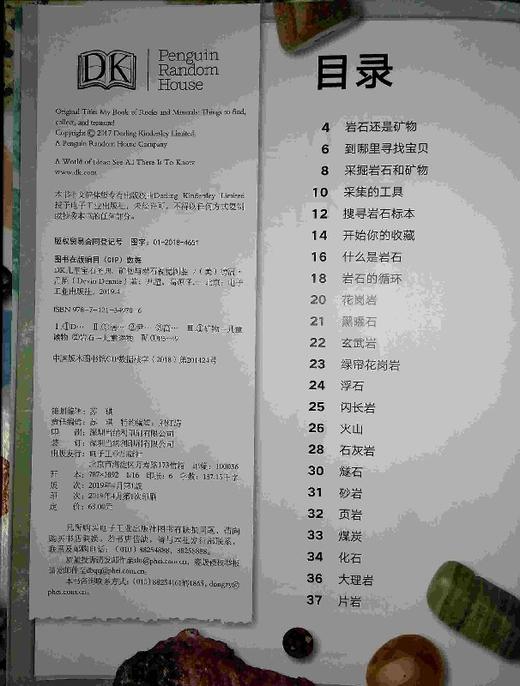 DK儿童宝石圣典 矿物与岩石视觉图鉴 科普书籍 领略宝物的奇特之美 珠宝红黄蓝绿宝石收藏鉴赏参考书籍 商品图1