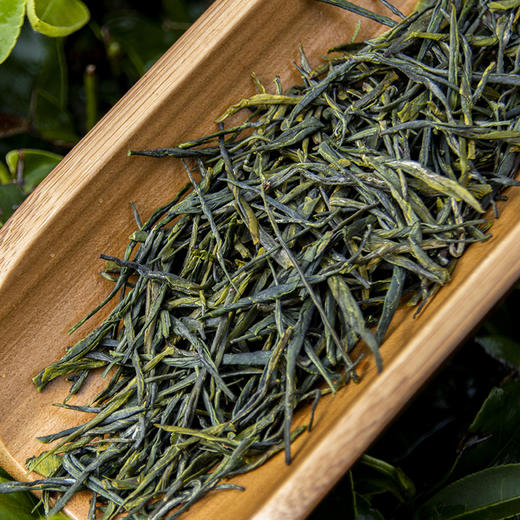 【新茶】恩施 金苔香恩施玉露60g/罐 商品图3