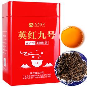 【花香型】八百秀才英红九号罐装225g