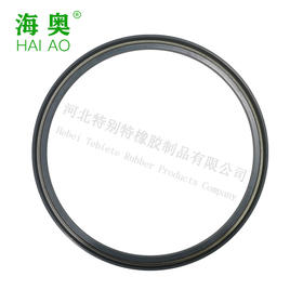 海奥北方奔驰平衡轴油封170*190*8.5（单价=1个，2个/盒）北奔平衡轴油封170x190x8.5（1701908.5）