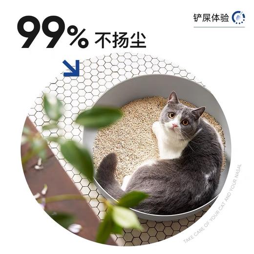 LORDE里兜猫砂 6G混合豆腐猫砂去味除臭2.5kg*6包 商品图5