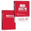 爆款小红书:从零到百万粉丝的玩赚策略 商品缩略图3