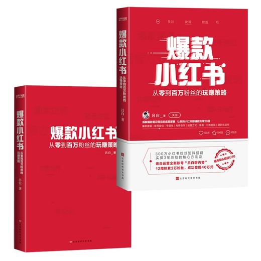 爆款小红书:从零到百万粉丝的玩赚策略 商品图3