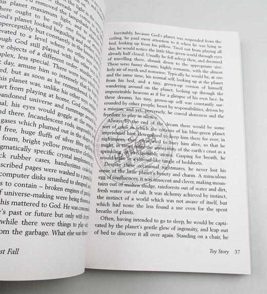 米歇尔法柏 雨必将落下 英文原版 Some Rain Must Fall And Other Stories 英文文学 英文版短篇小说集 进口原版英语书籍 商品图1