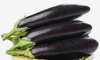 新鲜青茄子 商品缩略图0