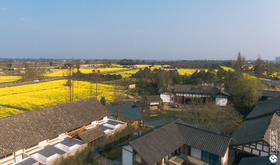 【大邑-125号院】2房/3房/4房包院，十里稻花、溪水绕乡，带暖气，这里有乡间野趣的诗和远方，DXYG