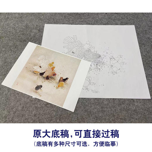 【无步骤】李长白工笔花鸟画白描底稿《母与子》母鸡鸡雏-斗方小品册页-LB10 商品图1