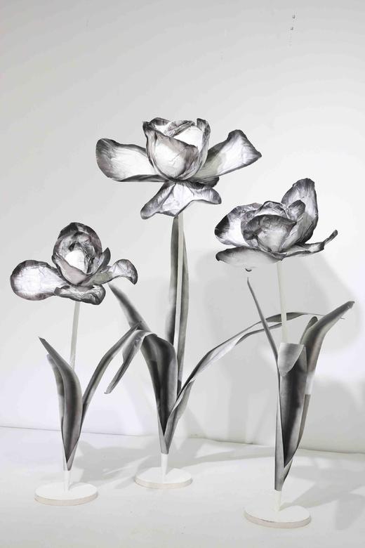 鸢尾花（运费自理） 商品图10