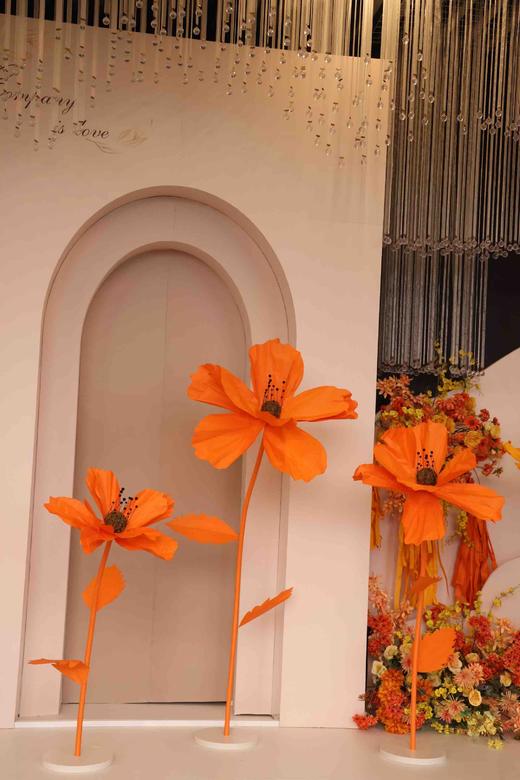 秋英（运费自理） 商品图1