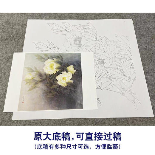 【无步骤】李长白工笔花鸟画白描底稿《黄牡丹  》斗方小品册页-LB09 商品图1