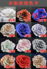 水染玫瑰（运费自理） 商品缩略图3