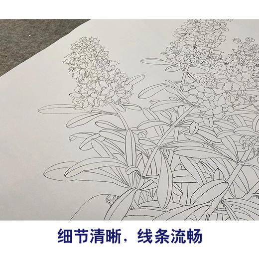 【无步骤】李长白工笔花鸟画白描底稿《瓶花》斗方小品册页-LB14 商品图4