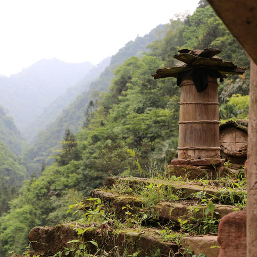 🐝贵州深山特有的蜜源馈赠，纯野山花土蜂蜜，黄果树蜂园夫子蜂蜂蜜，自然成熟，波美度42度~500g 商品图2