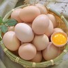大川散养土鸡蛋30枚装  商品缩略图2