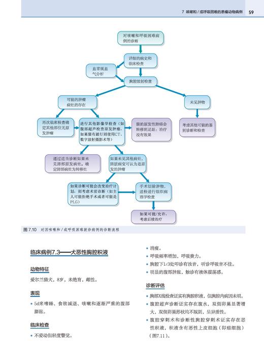 小动物肿liu基础【中国农业出版社官方正版】 商品图5