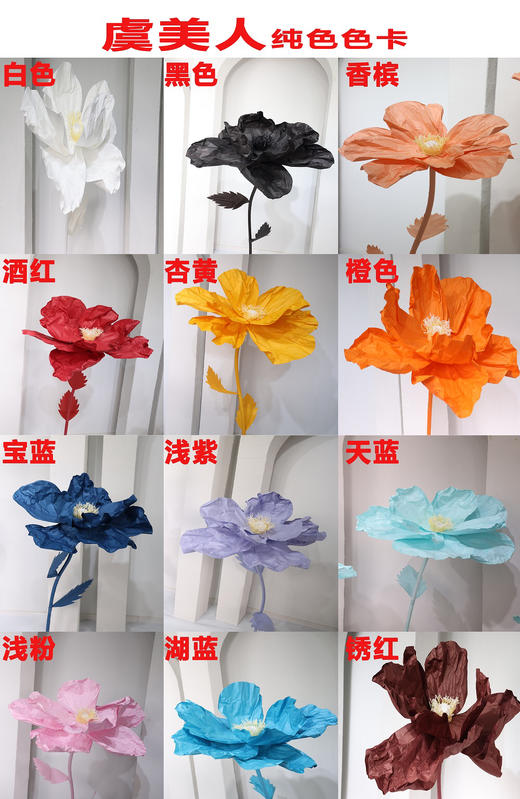 虞美人（运费自理） 商品图7