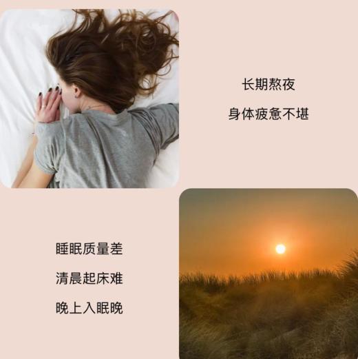 停售】羽心堂 不老莓熬夜茶日常版[福利品] 商品图1