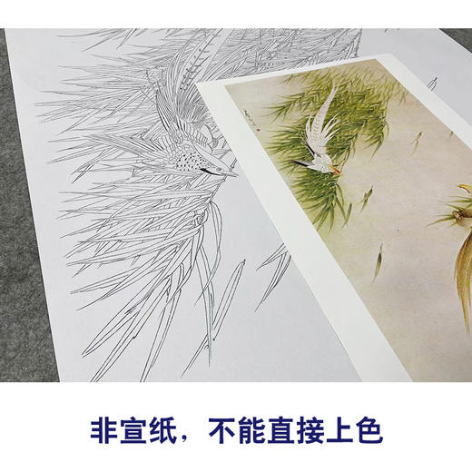 【无步骤】李长白竖幅工笔花鸟画白描底稿《风竹锦鸡》LB07 商品图2