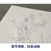【无步骤】李长白工笔花鸟画白描底稿《月季飞碟图》斗方小品册页-LB21 商品缩略图4