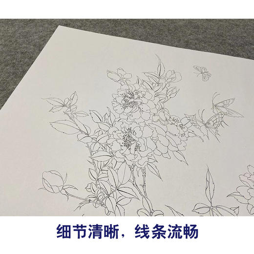 【无步骤】李长白工笔花鸟画白描底稿《月季飞碟图》斗方小品册页-LB21 商品图4