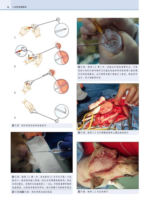 小动物肿liu基础【中国农业出版社官方正版】 商品图2