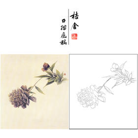 【无步骤】李长白工笔花鸟画白描底稿《芍药》斗方小品册页-LB17