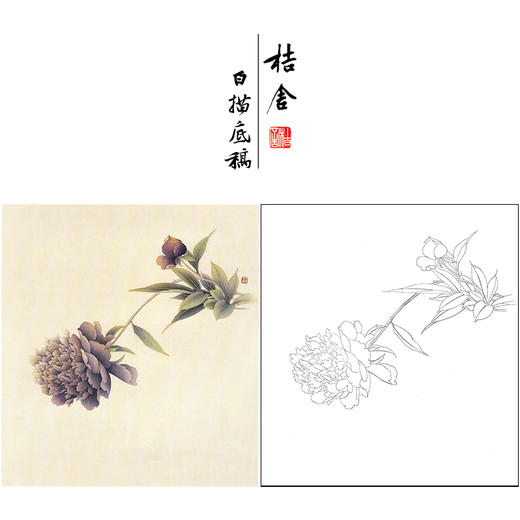 【无步骤】李长白工笔花鸟画白描底稿《芍药》斗方小品册页-LB17 商品图0