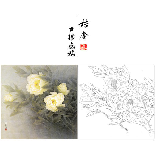【无步骤】李长白工笔花鸟画白描底稿《黄牡丹  》斗方小品册页-LB09 商品图0