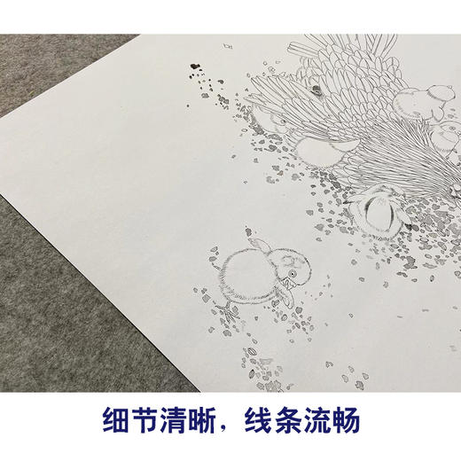 【无步骤】李长白工笔花鸟画白描底稿《母与子》母鸡鸡雏-斗方小品册页-LB10 商品图4