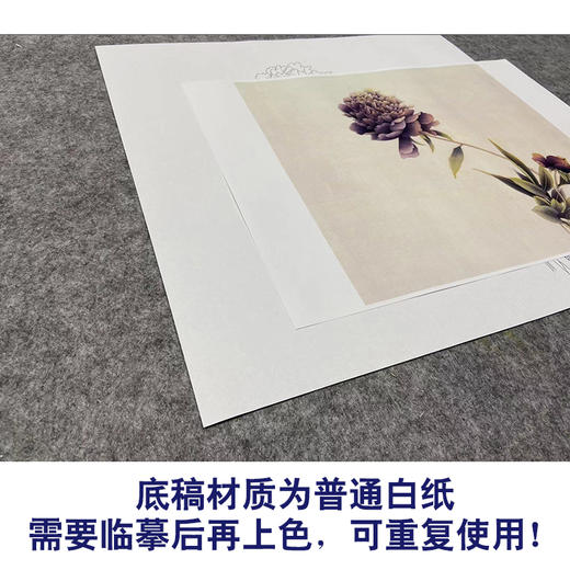 【无步骤】李长白工笔花鸟画白描底稿《芍药》斗方小品册页-LB17 商品图3
