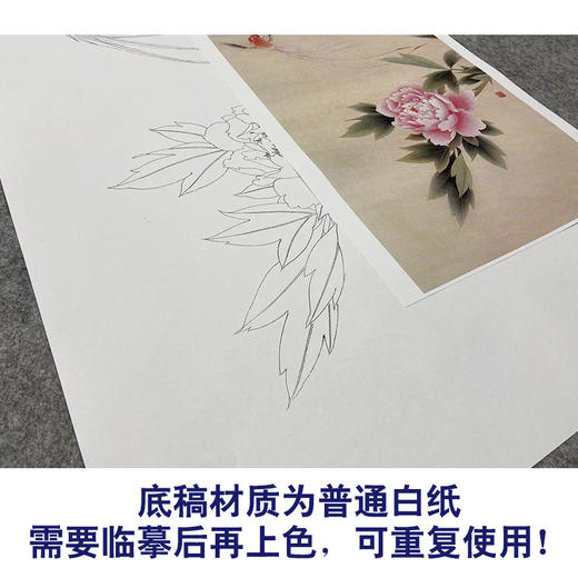 【无步骤】李长白竖幅工笔花鸟画白描底稿《牡丹寿带》LB12 商品图3
