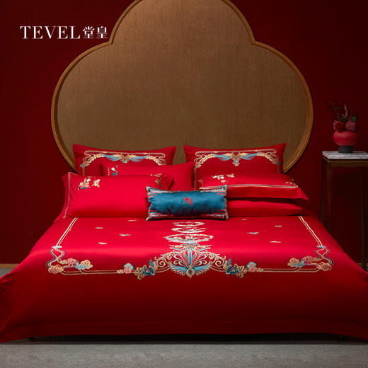 【6F】堂皇 送全套枕芯 !!!婚庆连生贵子六件套结婚婚房喜被  送全套芯+五子登科礼 商品图0