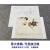 【无步骤】李长白工笔花鸟画白描底稿《碟恋花 》斗方小品册页-LB05 商品缩略图1