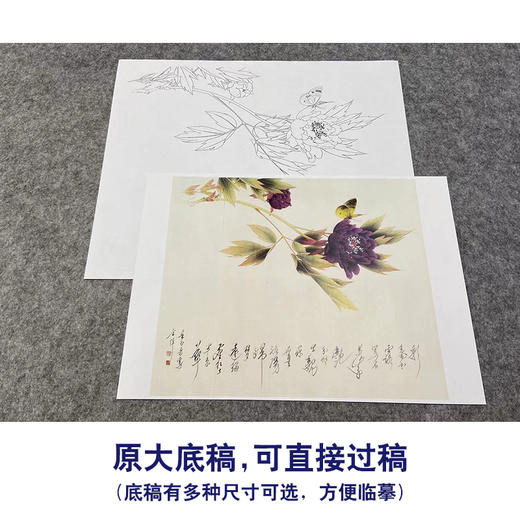 【无步骤】李长白工笔花鸟画白描底稿《碟恋花 》斗方小品册页-LB05 商品图1