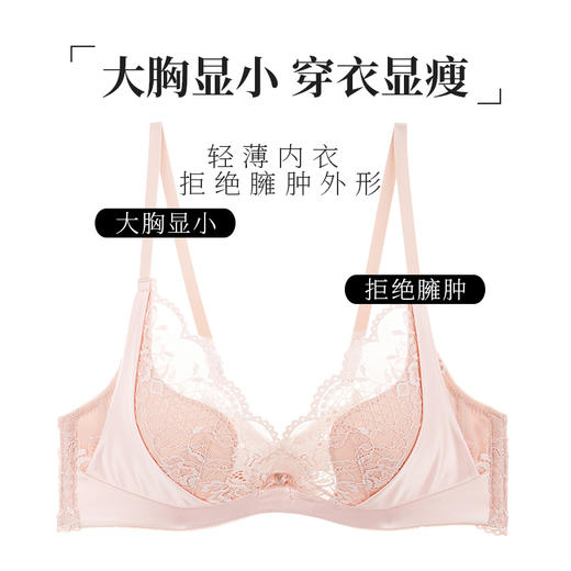 夏娃的诱惑内衣女法式软钢圈大胸显小文胸夏聚拢薄款缩胸棉围抗菌 商品图0